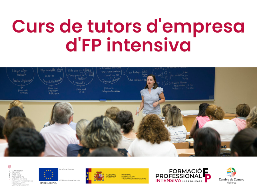 Curso de tutores de empresa de FP intensiva